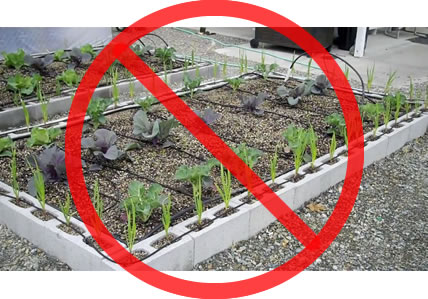 Healthy Sustainable Living A Warning About Cinder Block Or Concrete Masonry Gardens - Are Cinder Blocks Toxic For Gardens Healthy Sustainable Living A Warning About Cinder Block Or Concrete Masonry Gardens - Are Cinder Blocks Toxic For Gardens