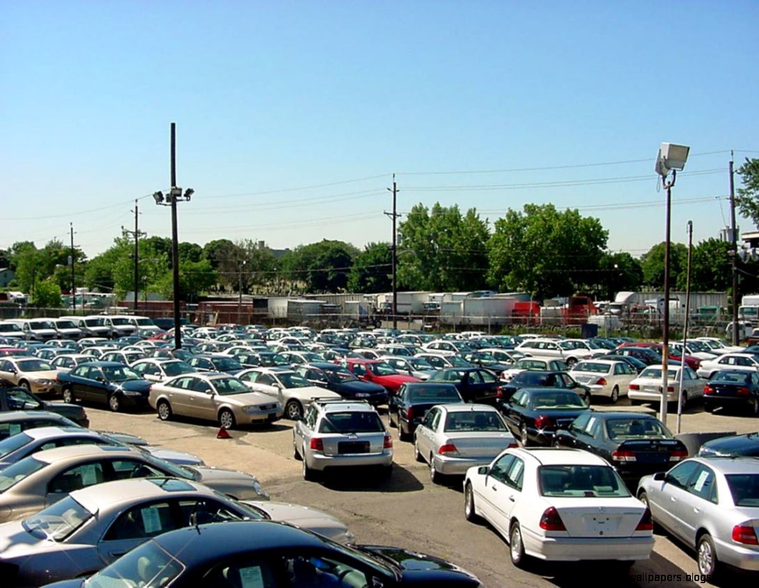 Used Car Dealership Lot