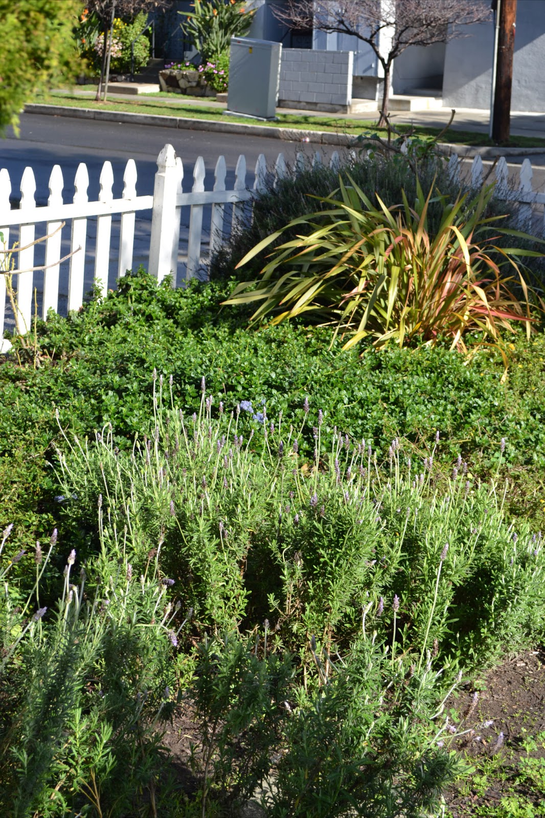 2018 Mar Vista Green Garden Showcase 3515 Kelton Avenue