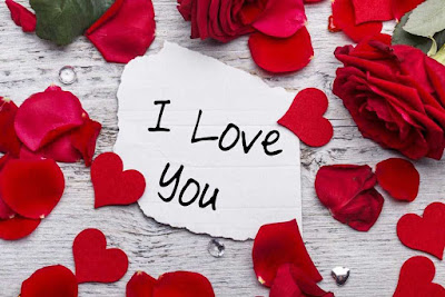 rose day image love you