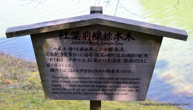 Tofu Photography: Japanese Maple sample tree sign at Ritsurin Gardens ...