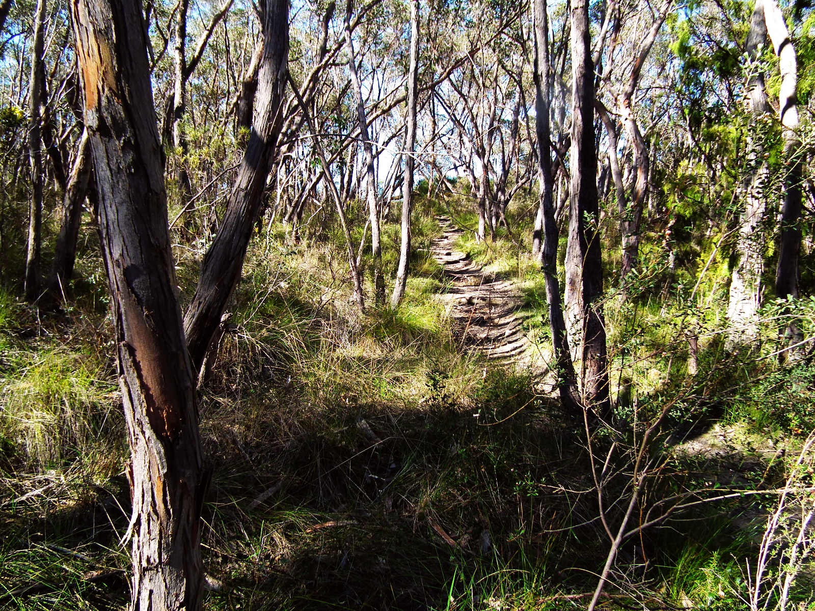 Meander to the Max Jupiter Creek a glimpse of Gold Rush South Australia