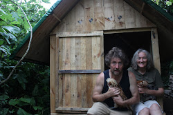 chicken coop build pallet hen diy wood plans pallets tiny building construction place coops wooden henhouse prototype foundations dismantling humble