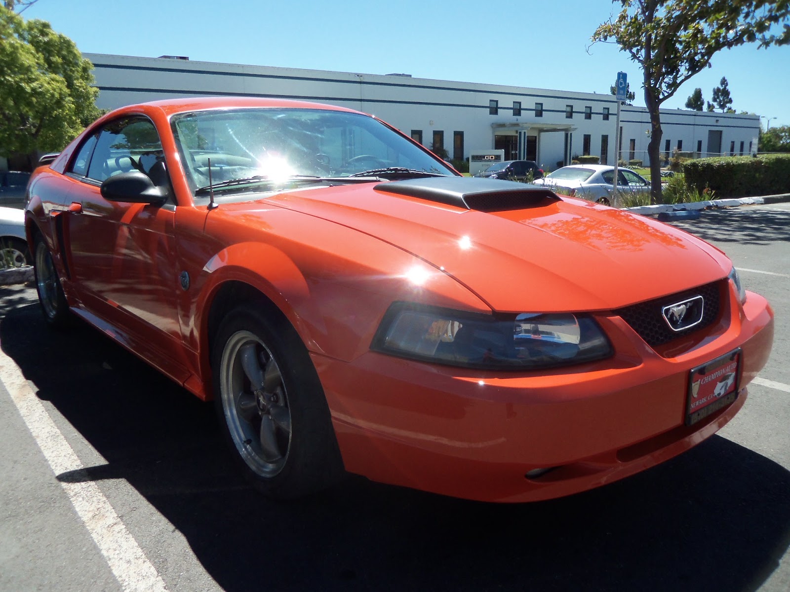 Auto BodyCollision RepairCar Paint in FremontHaywardUnion CitySan Francisco Bay Ford