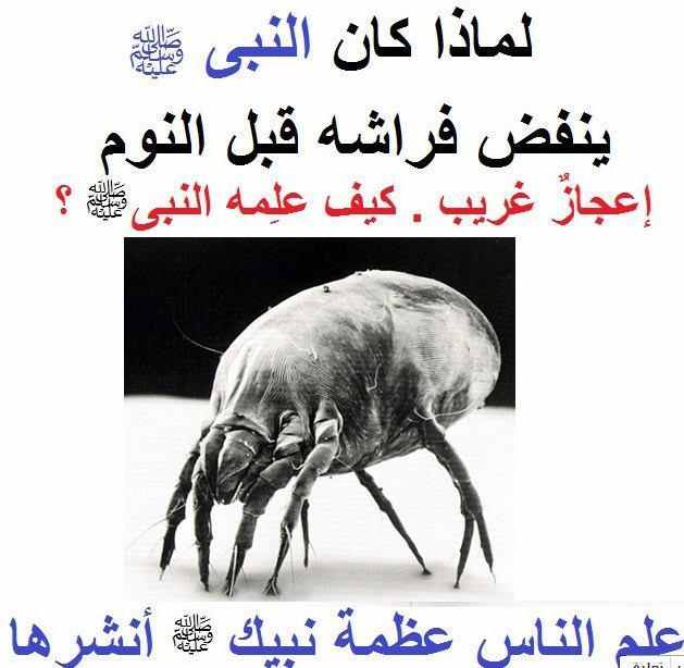 الإسلام نور: مايو 2013