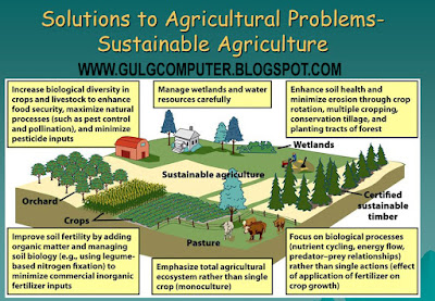 solutions to transportation problems in agriculture