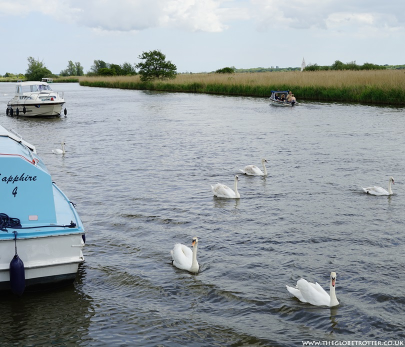 The Norfolk Broads in the UK The Norfolk Broads in the UK