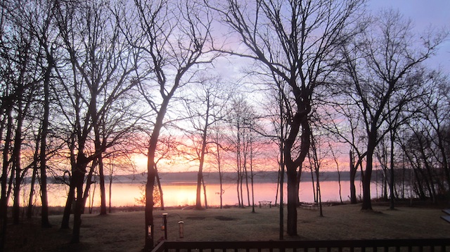 The Woods Parents Guide Cabin In The Woods