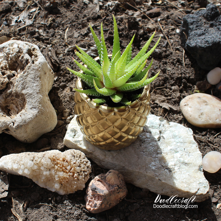 Doodlecraft Pineapple Succulent Planter!