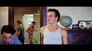The Stars Come Out To Play: C. Thomas Howell, Matt Dillon 