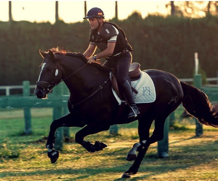 Peralta-Caballos PRE venta-Yeguada Pura Raza Español y CDE-Spanish