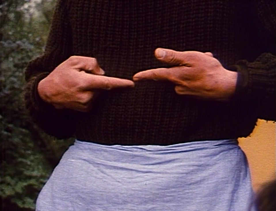 Nick's Film Jottings Nuts in May (1976 Mike Leigh & scr)