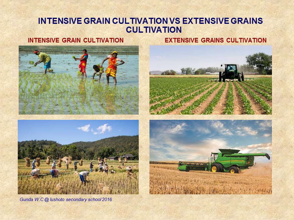 NYUMBA AGRICULTURE INTRODUCTION (LESSON NOTES FOR FORM TWO)