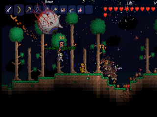 how to play terraria 1.1 on pc