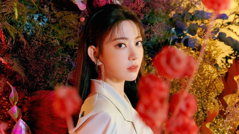 Sakura Iz One Bloom Iz 4k Wallpaper 6 722