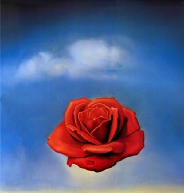 My Image 19