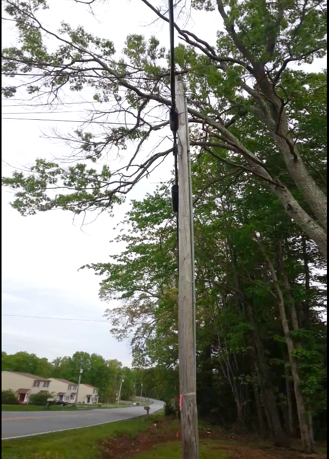 Yard Solutions Tree removal over utility lines project