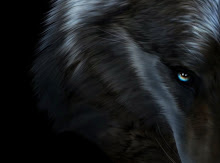 WOLF HOWL HAS HIS OWN BLOG!