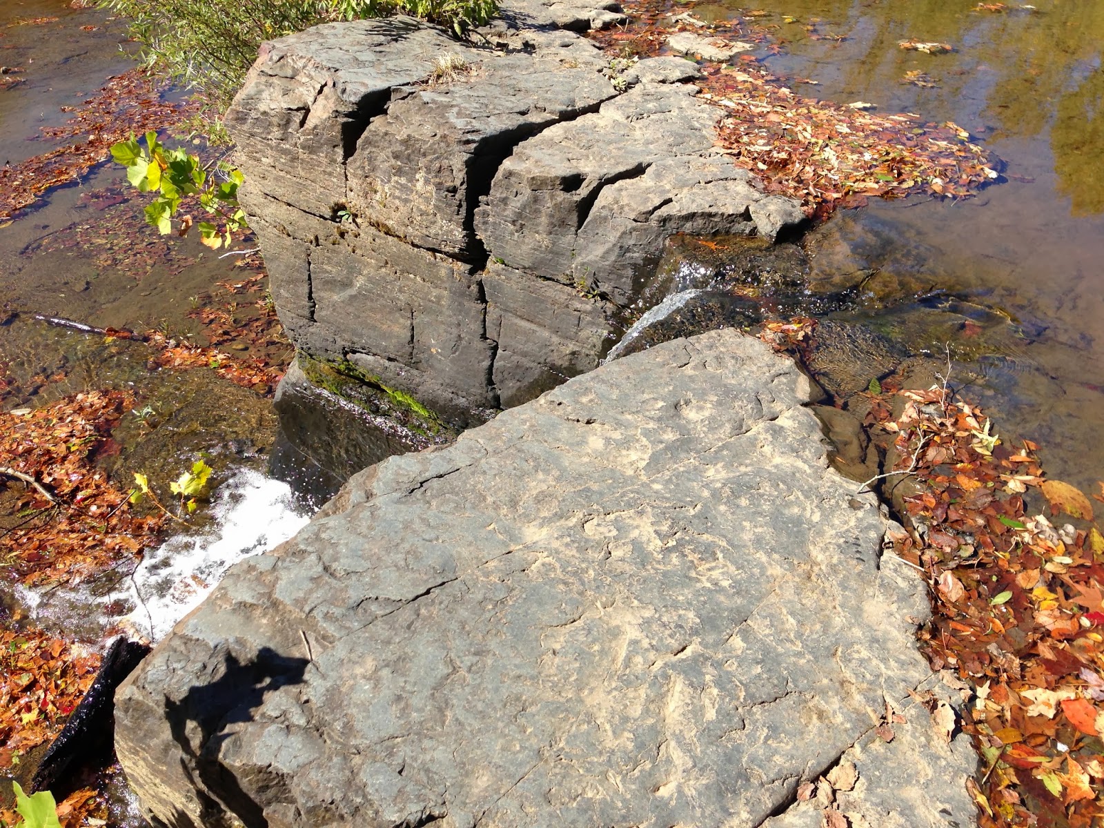 Seismos Fractured Atoka at Natural Dam Arkansas