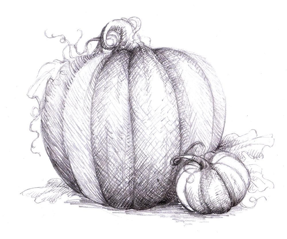 Magellin Blog Pumpkin Drawing