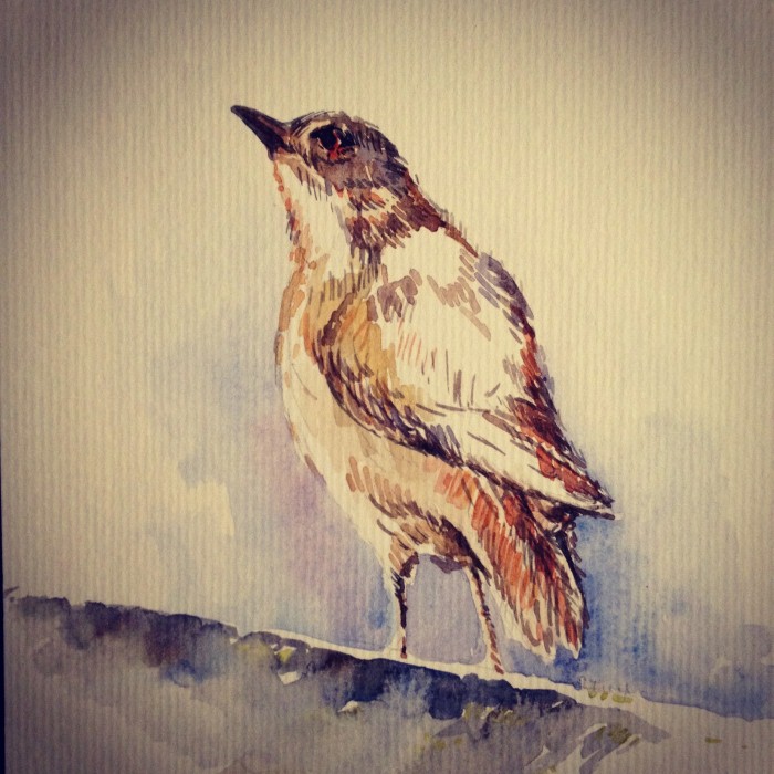 Rosangela Grafetti. Современный художник 11