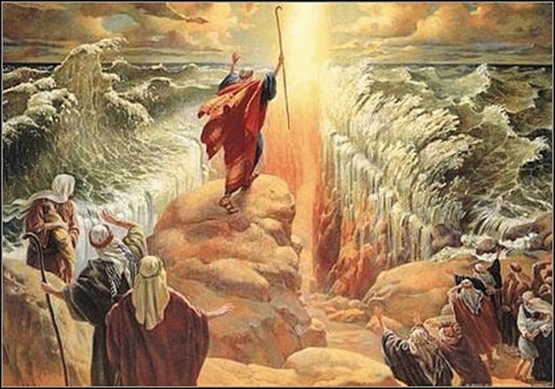 مجدي تادروس .. عصا موسى.. الخشبة التى تنقذ من الموت!