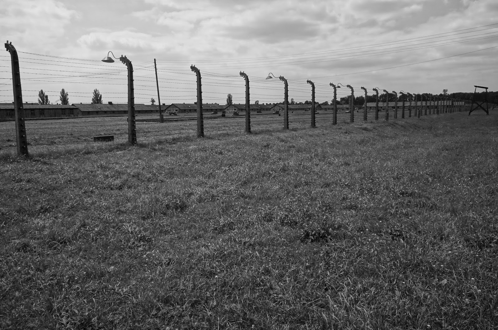 River Runs Through It: Reflections on Auschwitz