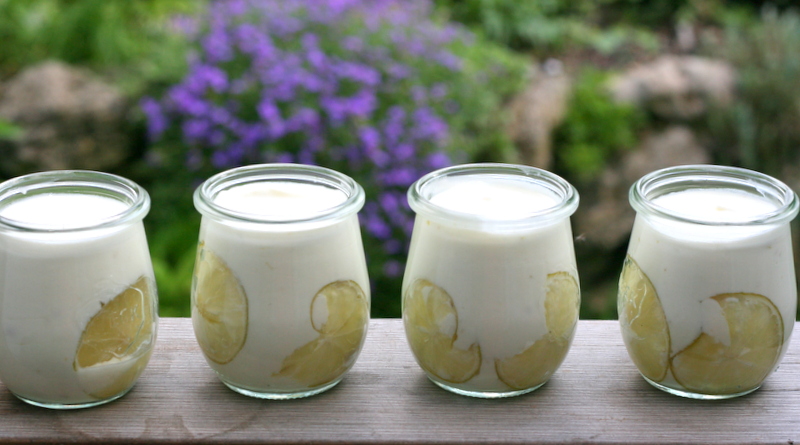 bushcooks kitchen: Joghurt-Limetten-Creme aus Hensslers Küche