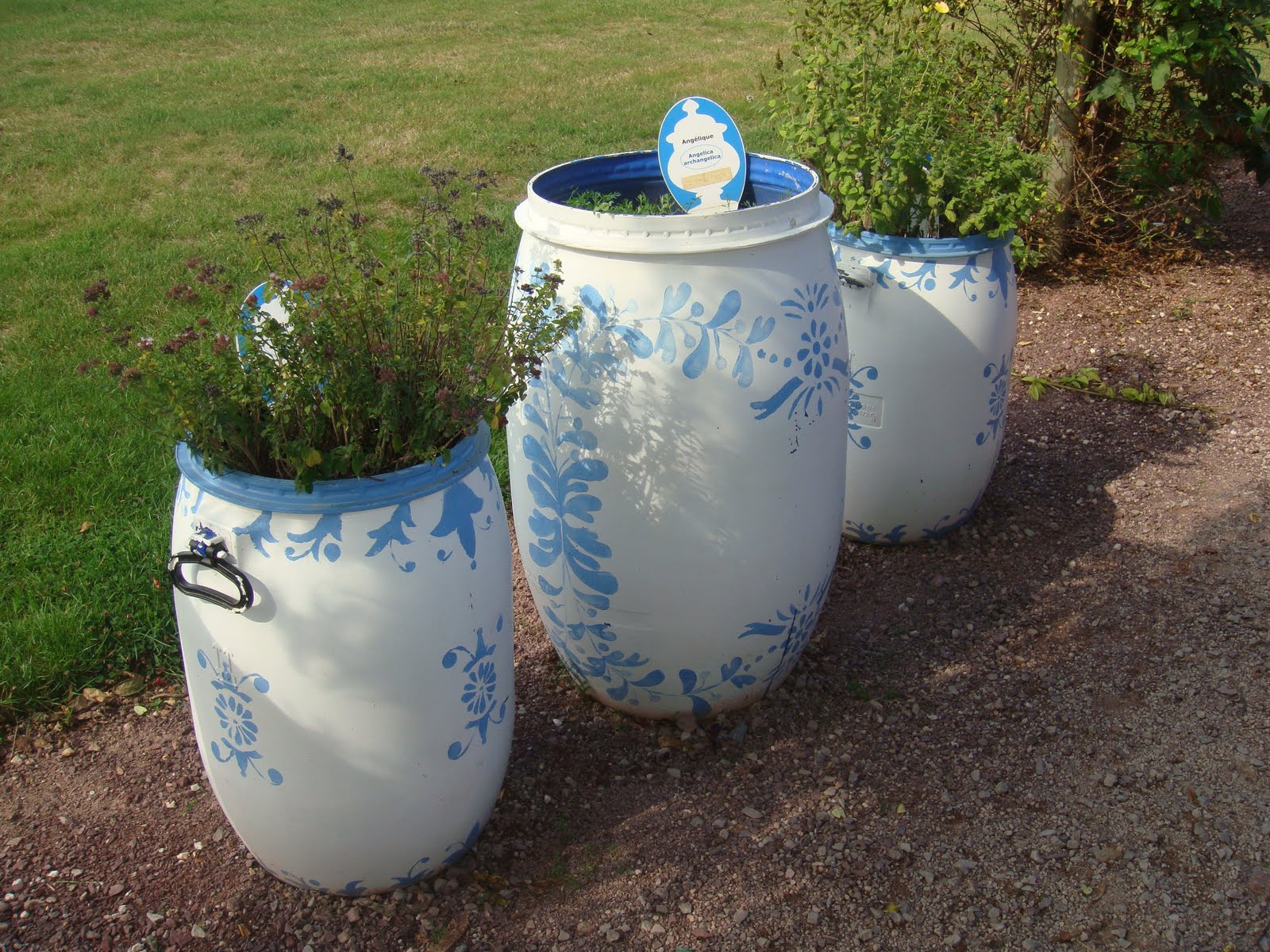 Customiser Un Bidon En Fer bidon | Jardinage, Bidon