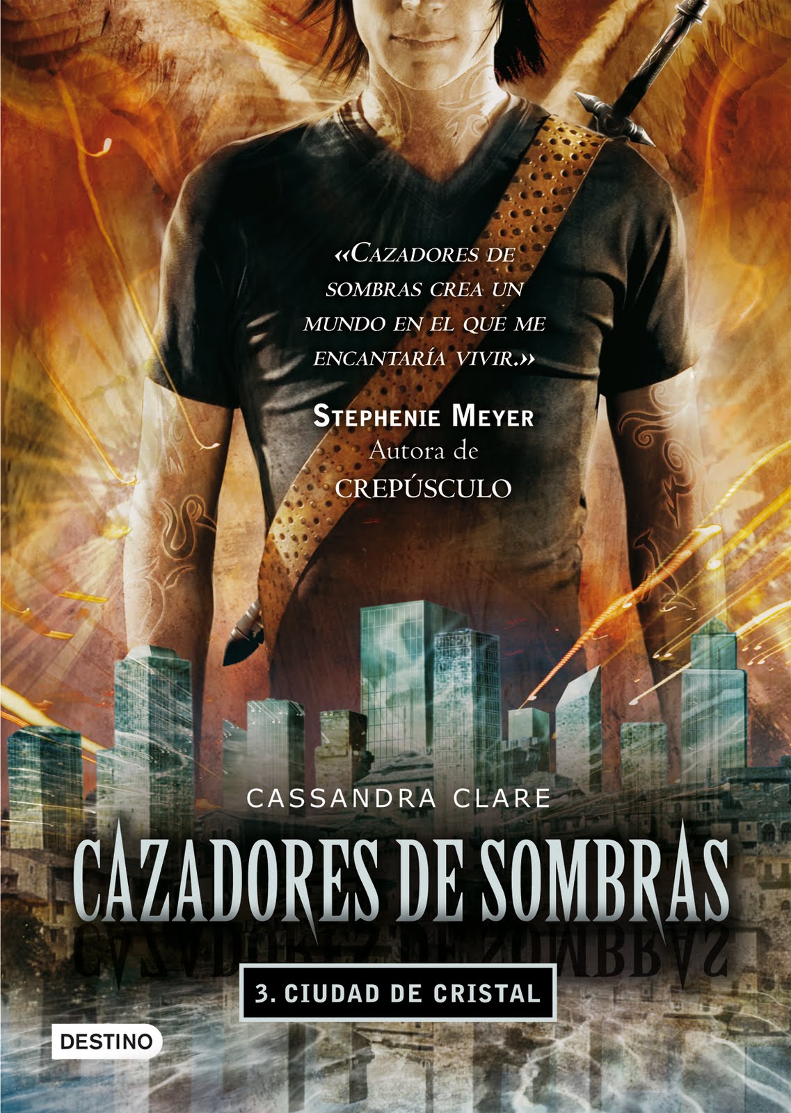 Reseña Cazadores de Sombras (Saga) Passion