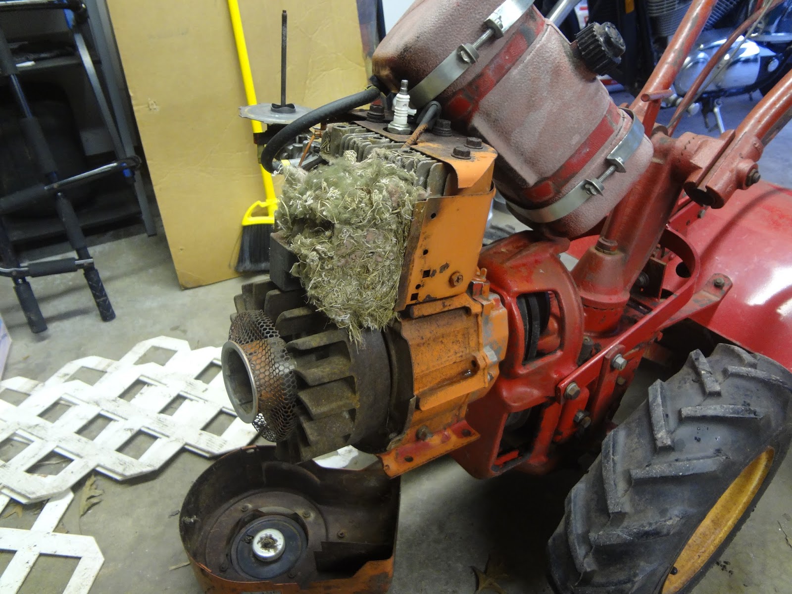 Such a large bed the mouse had made!