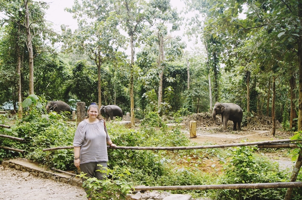 in-vizita-la-elefanti