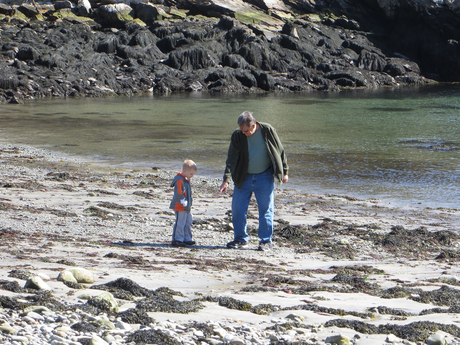 Rutherford Island, South Bristol, Maine Awakening!