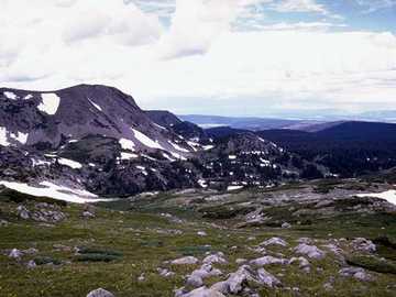 tundra biome antisocial