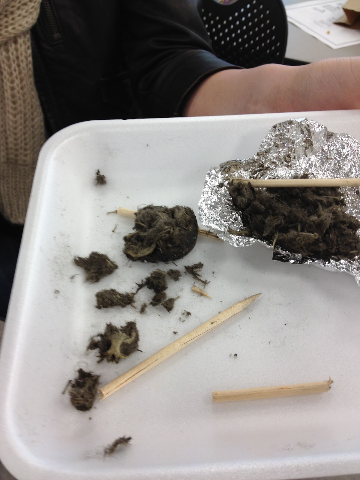 Science with Ms. Kim Owl Poop?