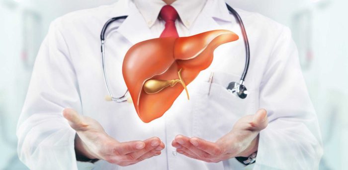Cara Menyembuhkan Pembesaran Hati (Hepatomegali) Pada Anak Dan Dewasa Cara Menyembuhkan Pembesaran Hati (Hepatomegali) Pada Anak Dan Dewasa