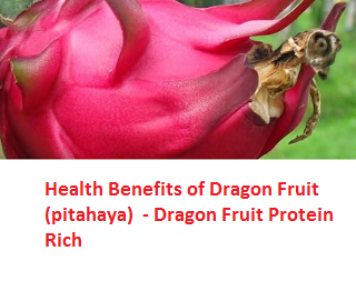  Health Benefits of Dragon Fruit (pitahaya)  - Dragon Fruit Protein Rich