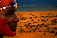 História e Cultura Africana /Indígena