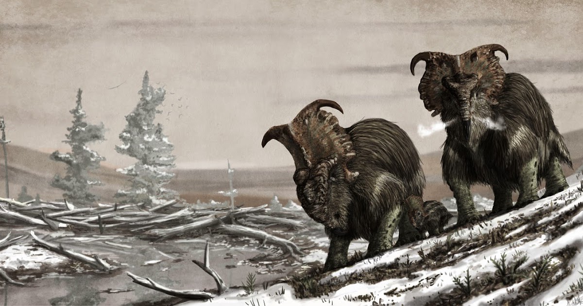 Mark Witton.com Blog: Controversial ceratopsids revisited: woolly