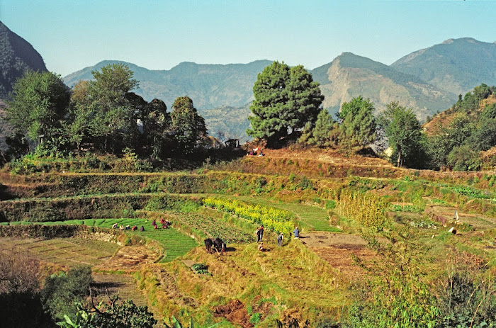 Népal, Pokhara, Annapurna, Nagdanda, © L. Gigout, 1990