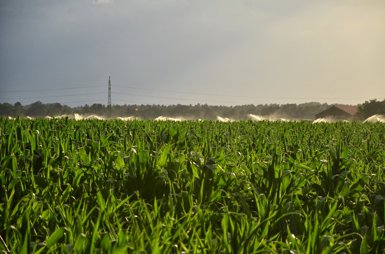 Landwirtschaftslexikon