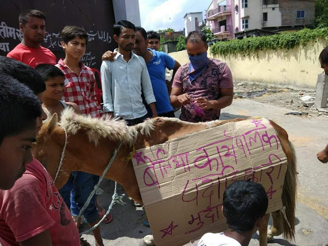 गंदगी को देख स्थानिये लोगो का फुटा गुस्सा, सड़क जाम कर किया नगर परिषद का विरोद्ध 2 गंदगी को देख स्थानिये लोगो का फुटा गुस्सा, सड़क जाम कर किया नगर परिषद का विरोद्ध 2