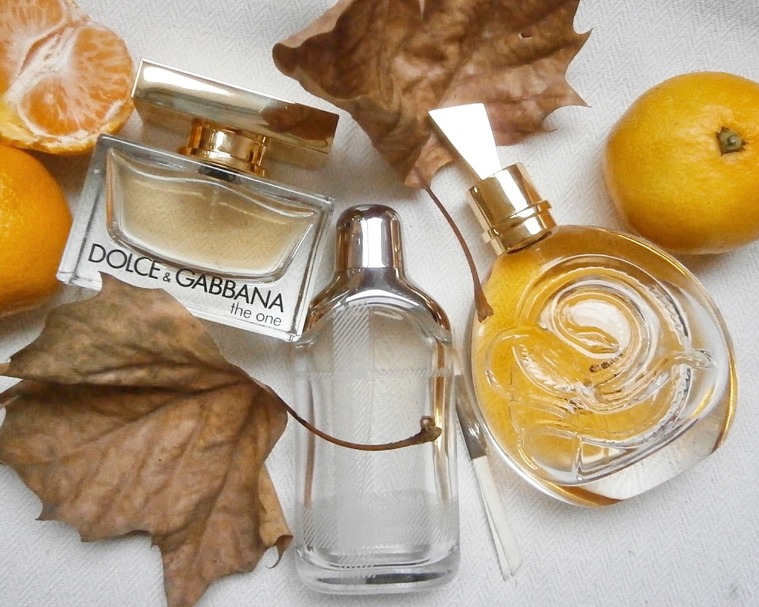 Autumn perfumes BEAUTY FINE PRINT