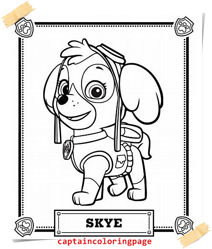 Your Seo Optimized Title