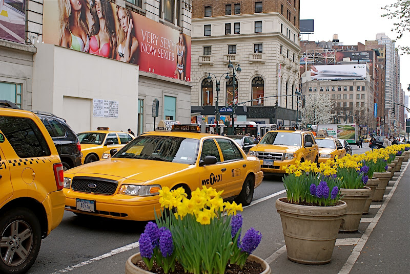 Весенний нью йорк