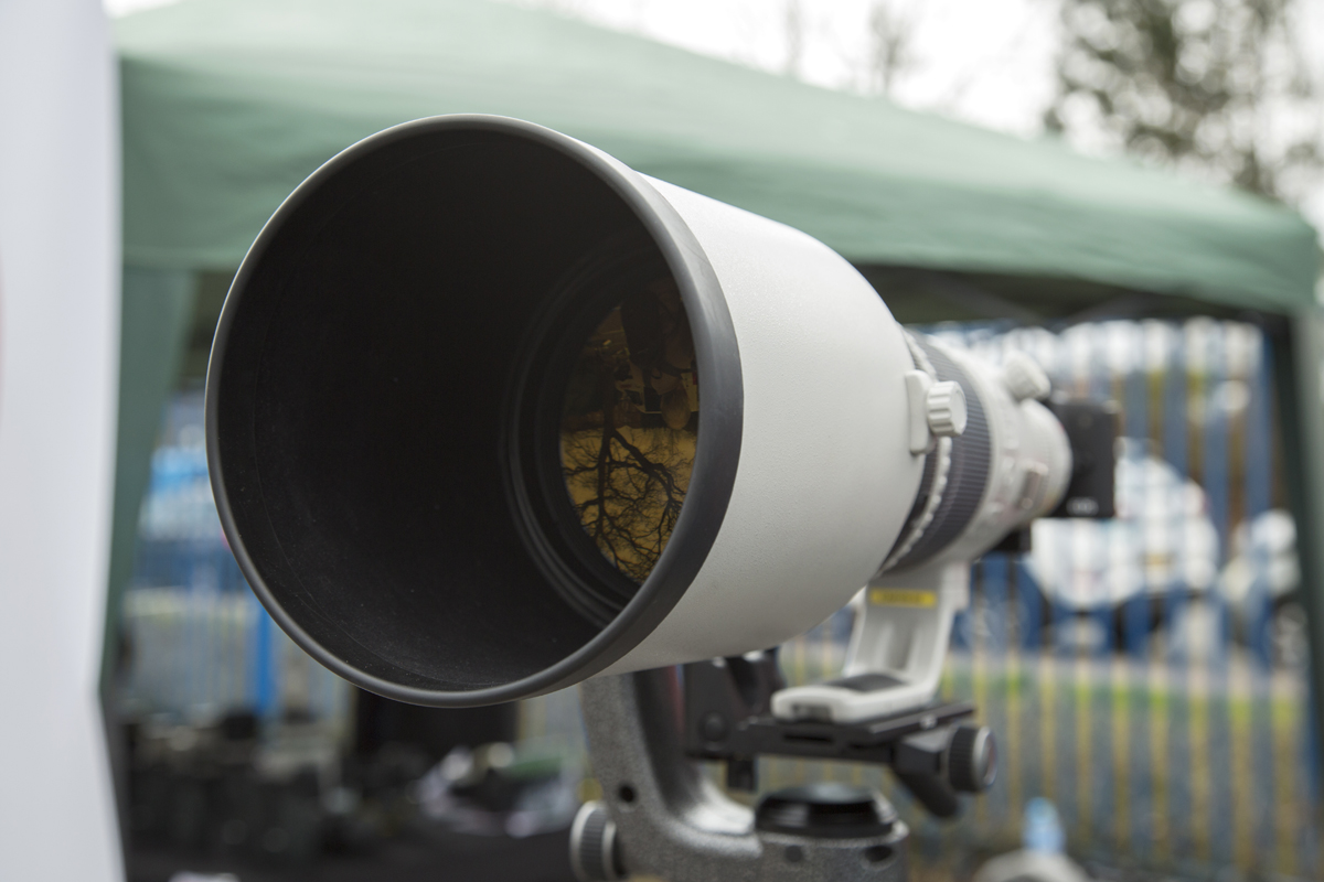 Wildlife Photography - the Best Canon Cameras and Lenses - Park Cameras