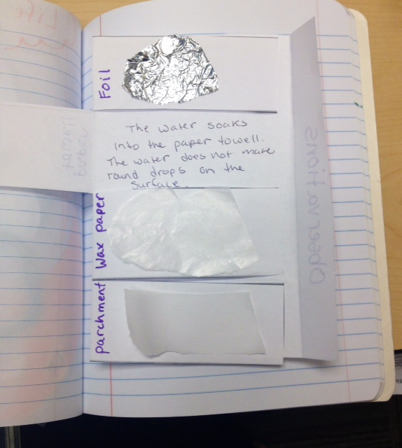 Water Droplets on Different SurfacesCohesion, Adhesion and Surface Tension Teaching Science