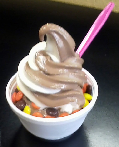 Richard Reviews Everything Rockie's Frozen Yogurt Reese's