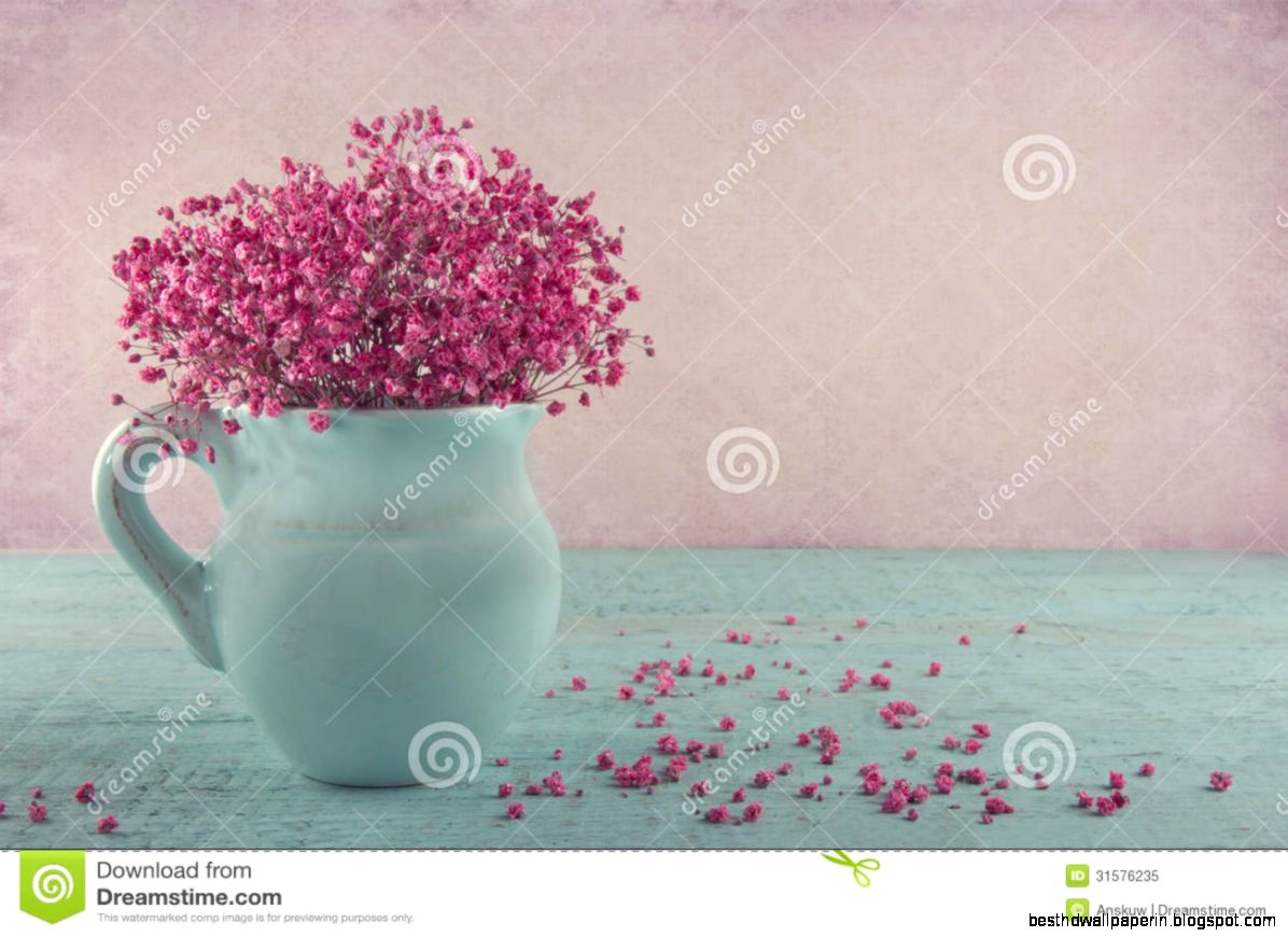 Pink Baby39s Breath Flowers In A Blue Jug Royalty Free Stock Photo