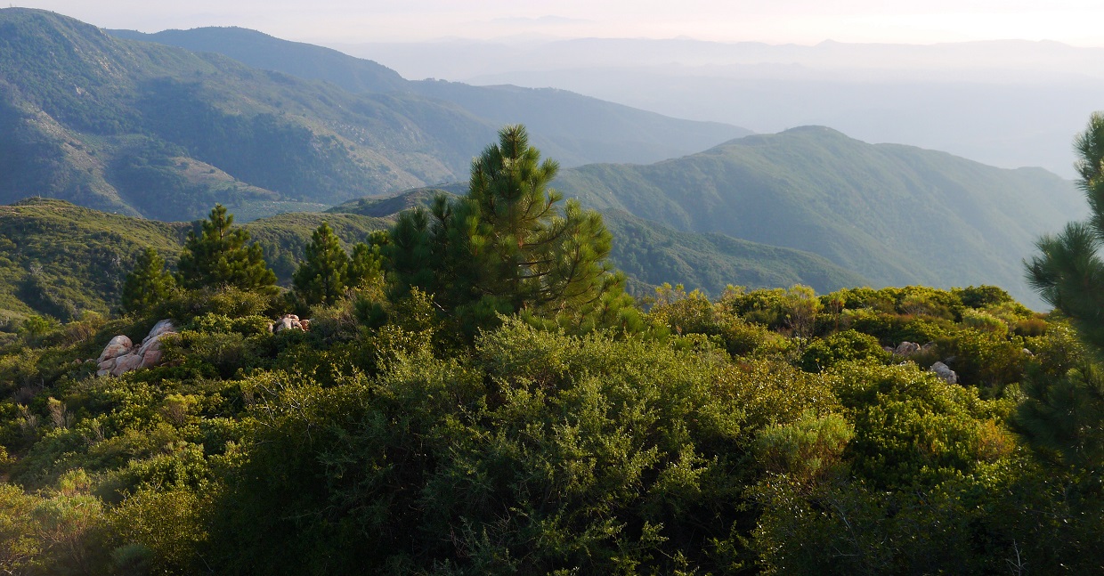 Peaks For Freaks: Wild Horse Peak, Agua Benchmark, Eagle Crag, Agua ...